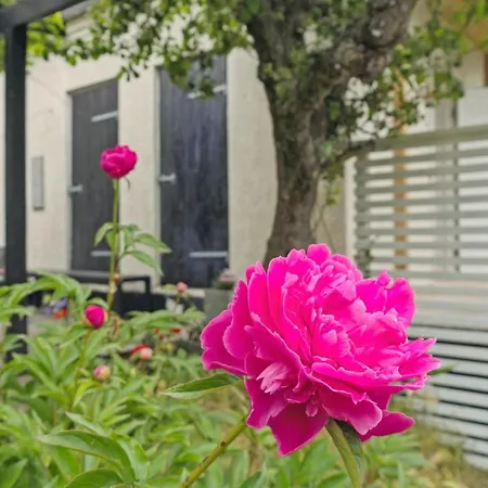 Elso - 5km From The Sea By Interhome Apartment Klemensker